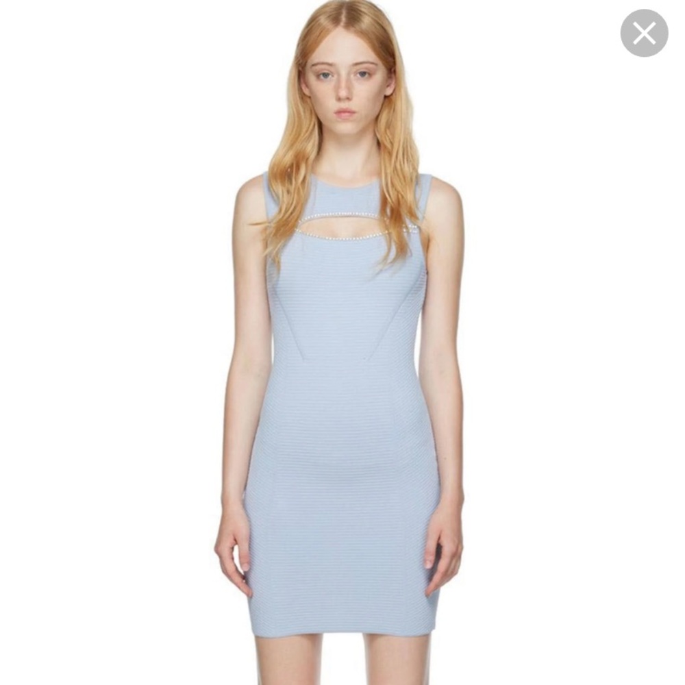 Herve ledger dress new with tags